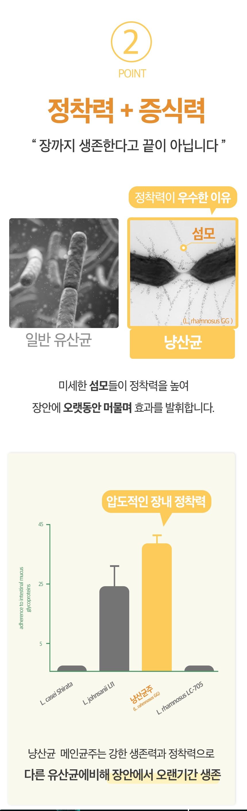 [NEW신상]바이오펫츠 냥산균 2g*30p 5번째