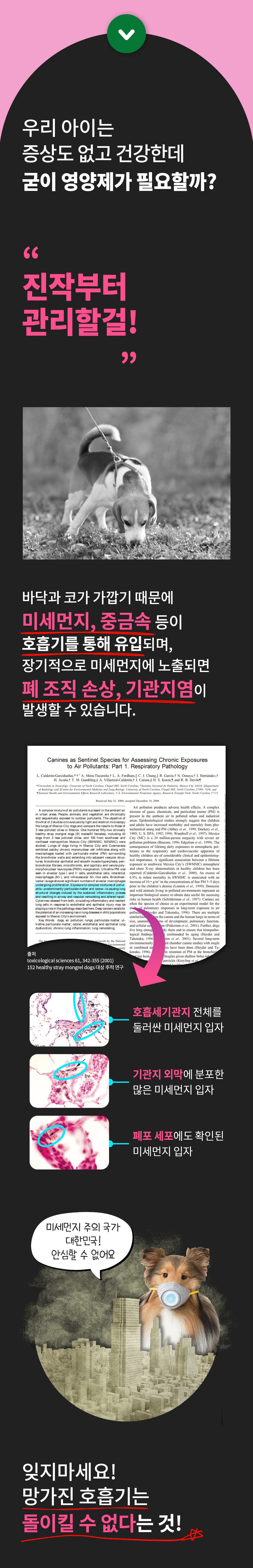 [공동구매][무료배송] 파파메디 메디 브레스 30포 6번째