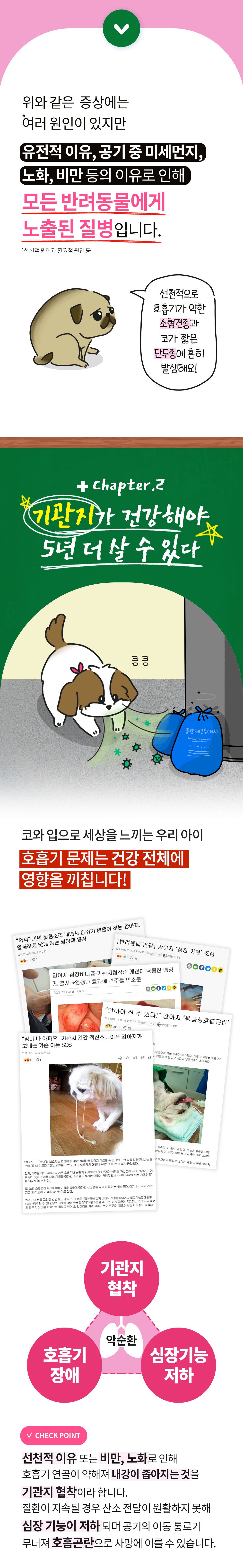 [공동구매][무료배송] 파파메디 메디 브레스 30포 4번째