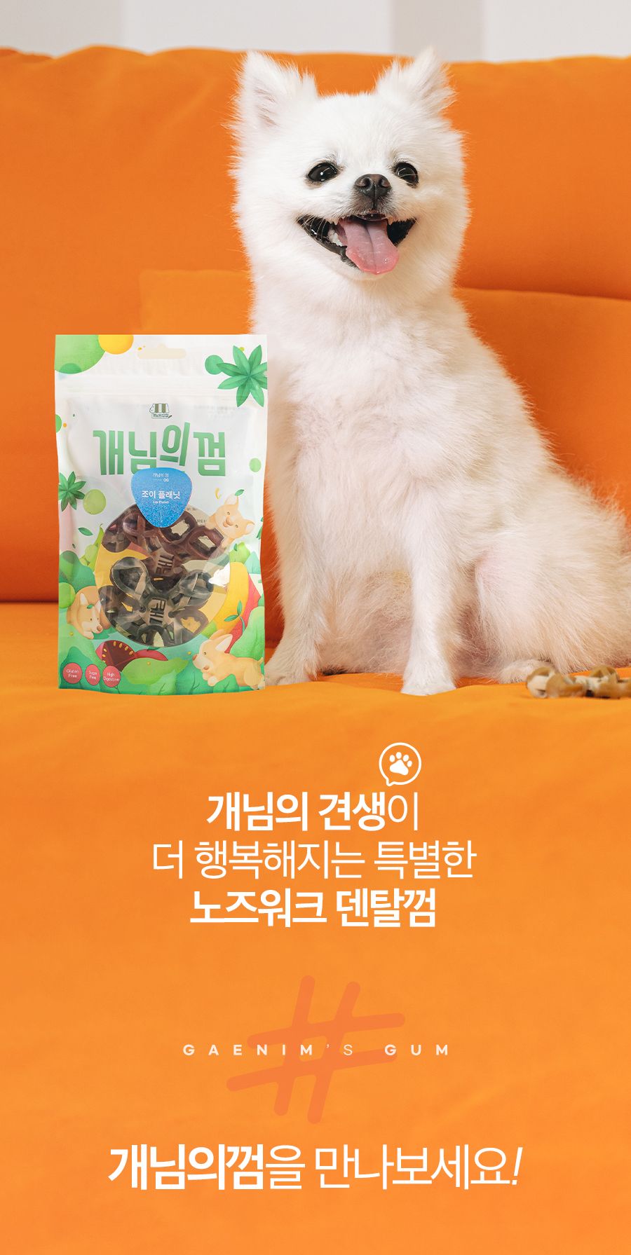 개님의상점 개님의껌 레틀즈&워우번볼 덴탈껌 105g 37번째