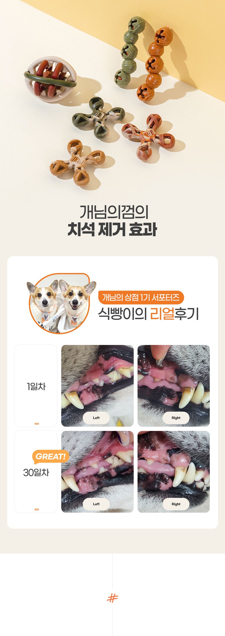 개님의상점 개님의껌 레틀즈&워우번볼 덴탈껌 105g 19번째