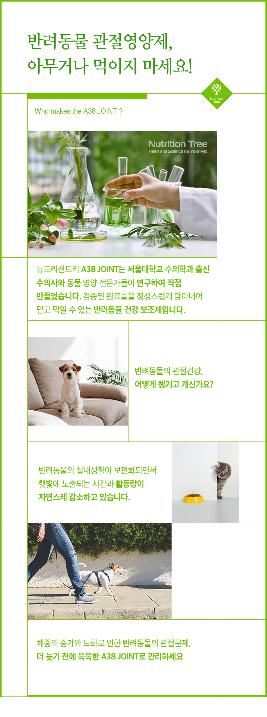 [무료배송] 뉴트리션트리 A38 JOINT 관절 영양제 18ml 1번째