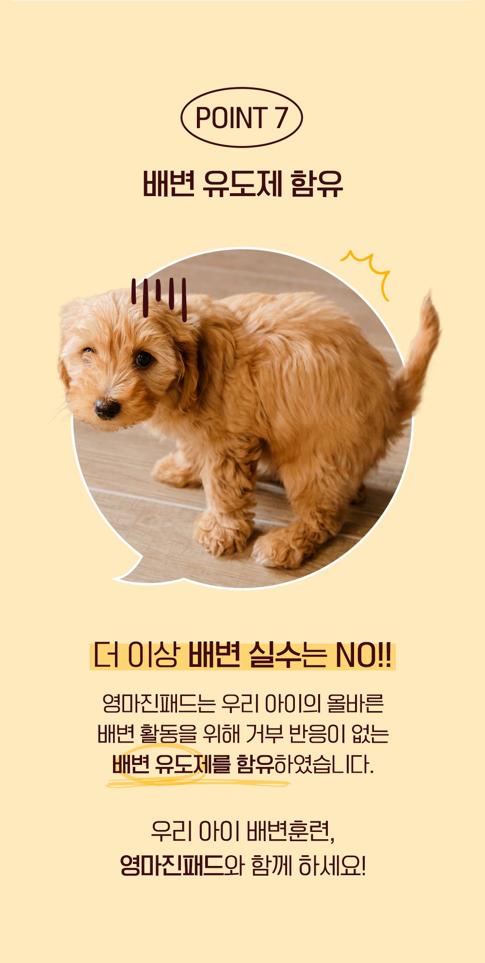 제로랩스 영마진 배변패드 스탠다드 M 100매입 10번째
