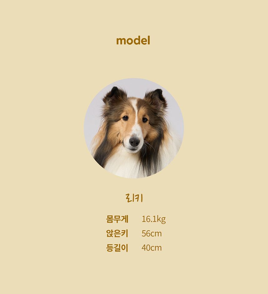 [NEW신상][무료배송] 두잇 슬로우피더 13번째