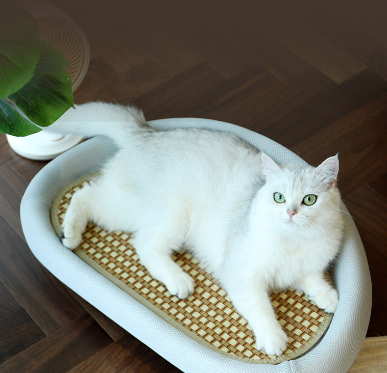 [NEW신상][무료배송] 펫볼루션 캣 소파 스크래쳐 2종 18번째