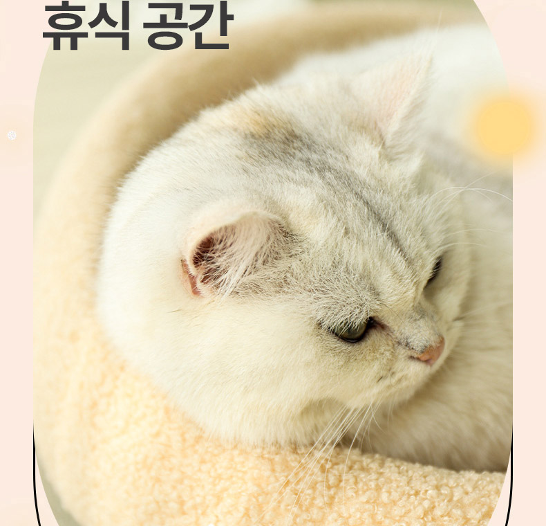 [NEW신상][무료배송] 펫볼루션 캣 소파 스크래쳐 2종 6번째