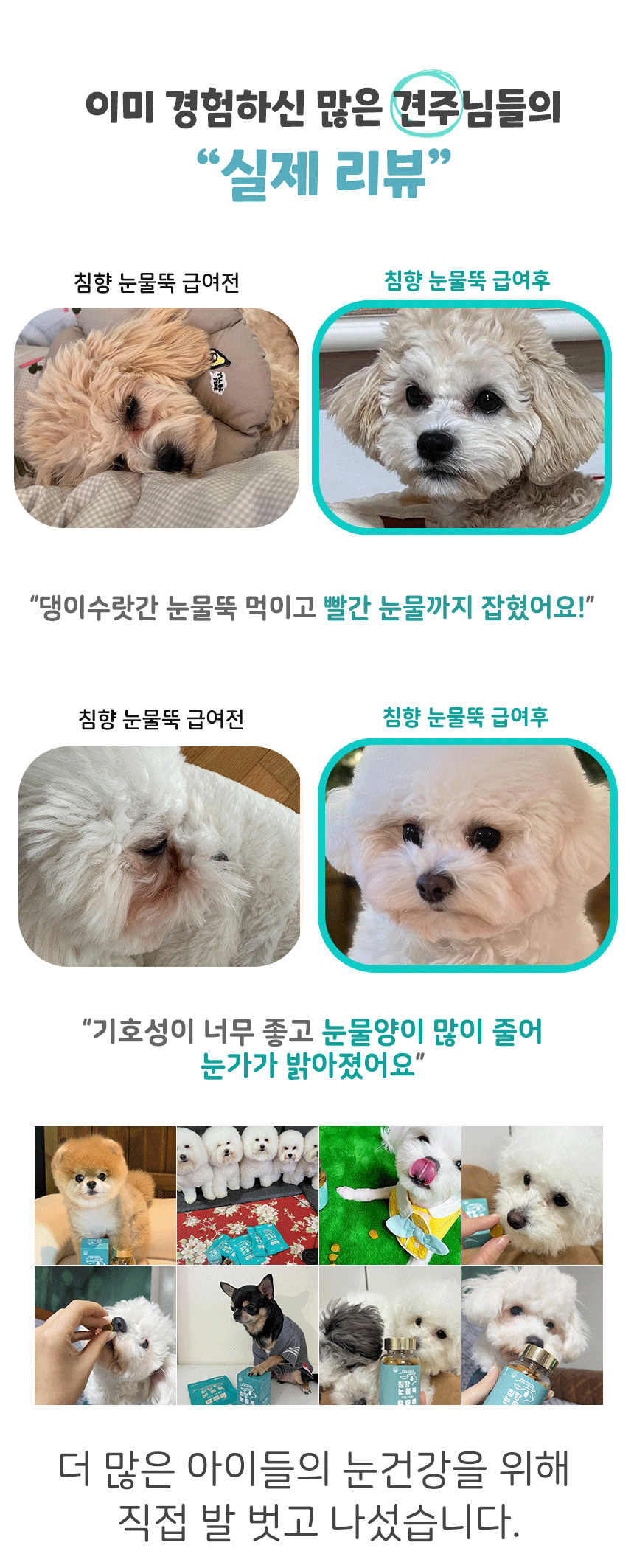 [무료배송] 댕이수랏간 침향눈물뚝 70g 3번째