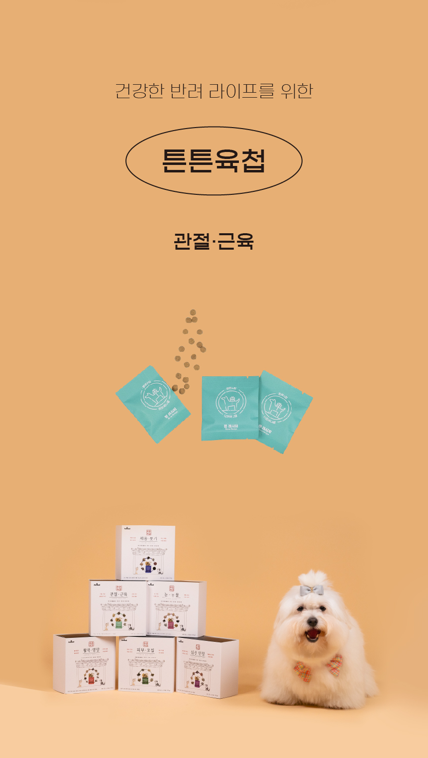 [NEW신상][무료배송] 이프애니멀 튼튼육첩 관절근육 96g (30포) 10번째