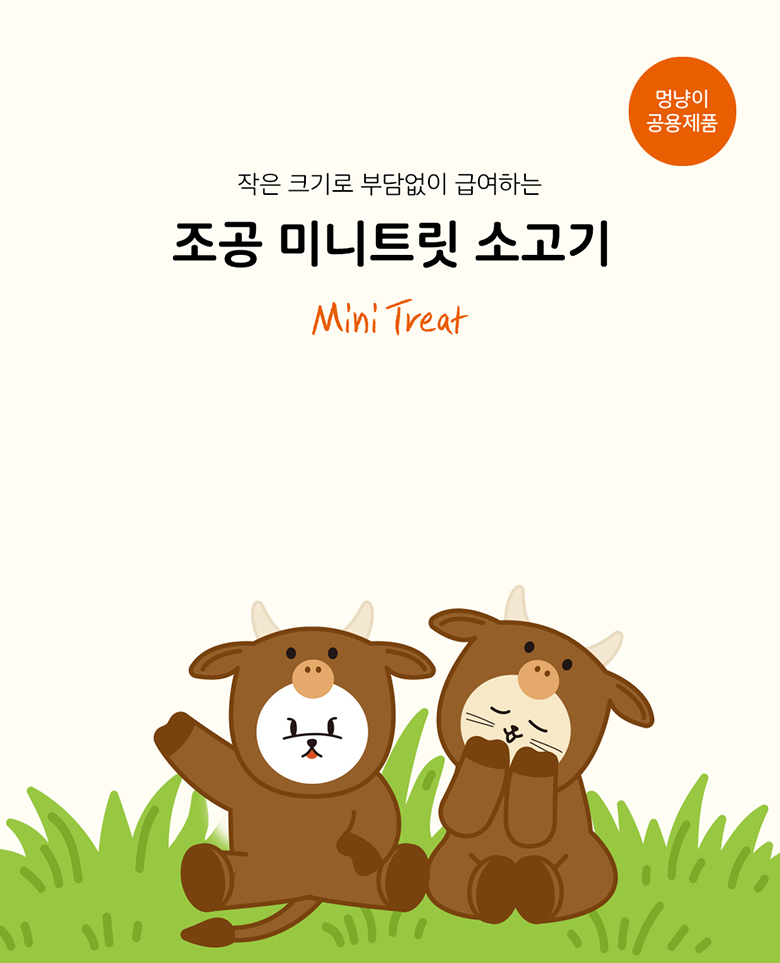 조공 미니트릿 6종 [모음] 21번째
