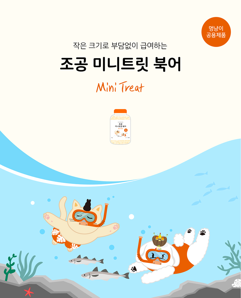 조공 미니트릿 6종 [모음] 11번째