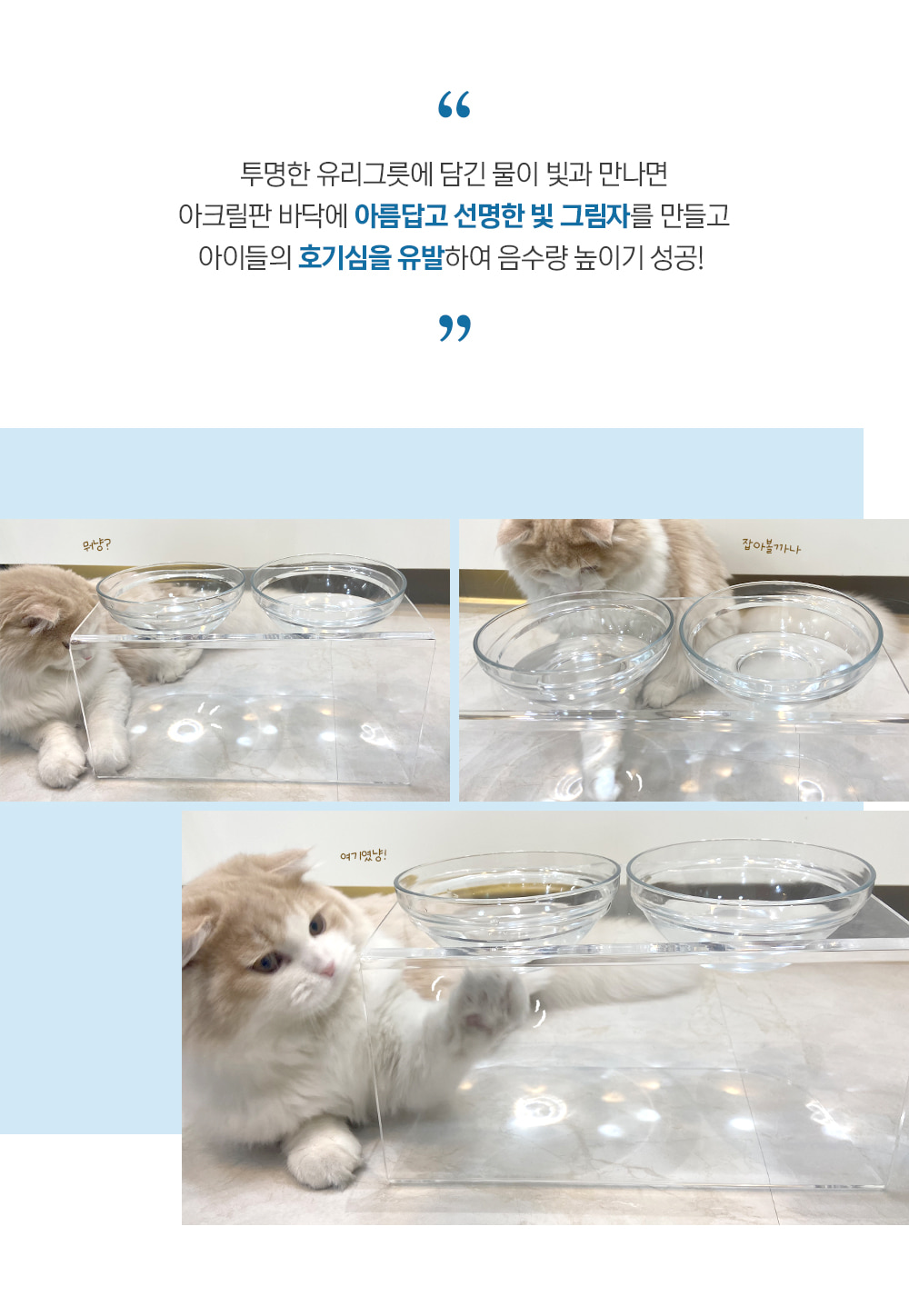 [무료배송] 링펫 아크릴식기 2구 17cm  7번째