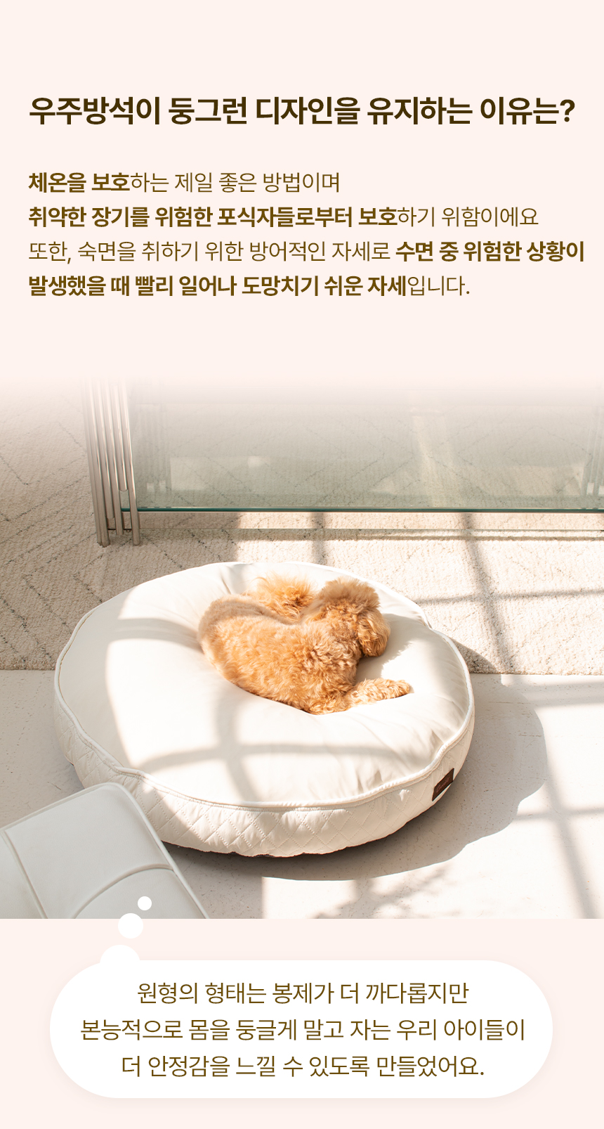 [무료배송] 초코펫하우스 무중력 우주방석 2.0 소형/일반/프리미엄 20번째