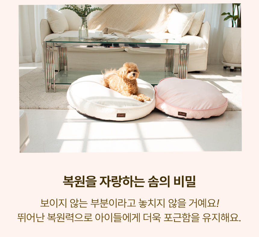 [무료배송] 초코펫하우스 무중력 우주방석 2.0 소형/일반/프리미엄 17번째