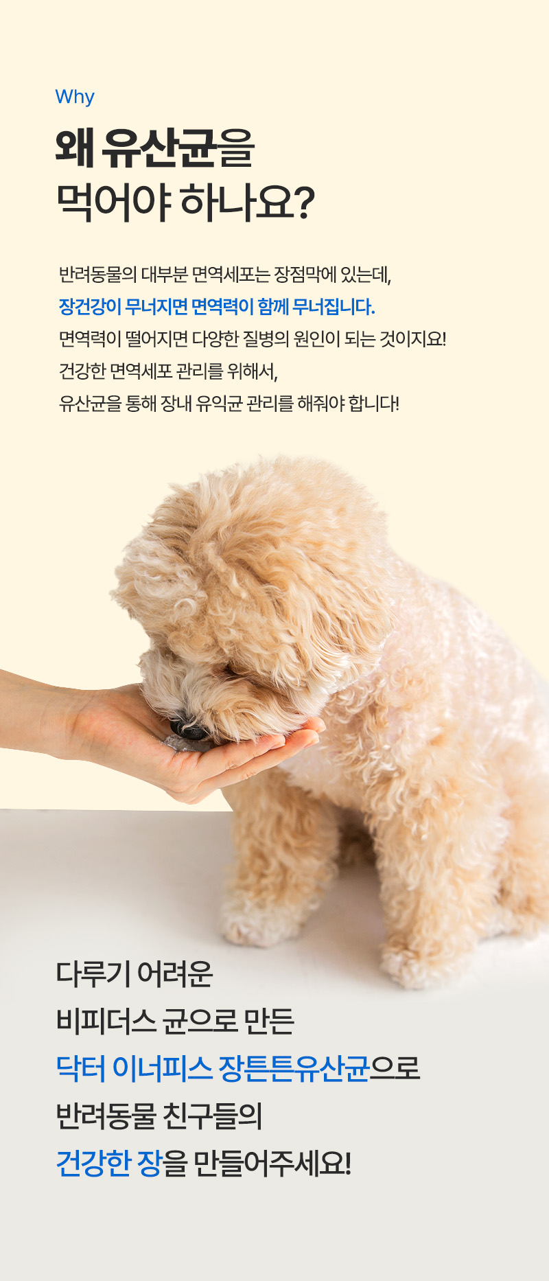[무료배송] 바잇미 닥터이너피스 장튼튼 유산균 30p 4번째