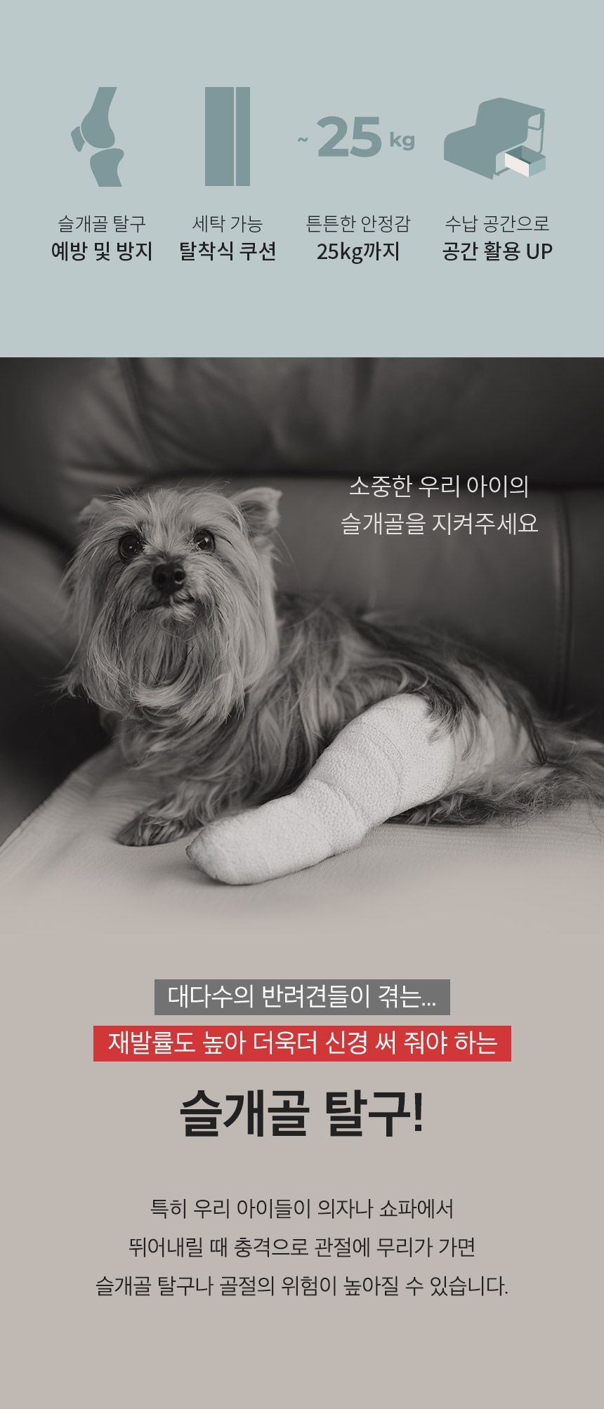 [무료배송] 페리가토 DIY 반려동물 계단 크림베이지/스카이블루 2번째