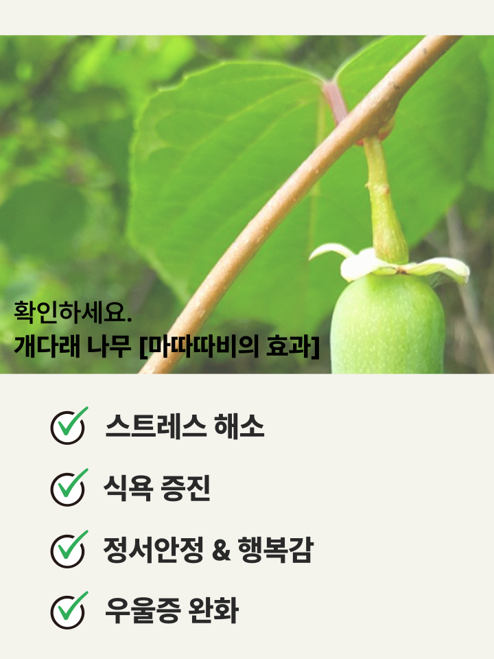 [NEW신상][무료배송] 캣디피 마따따비 꼬치 17번째