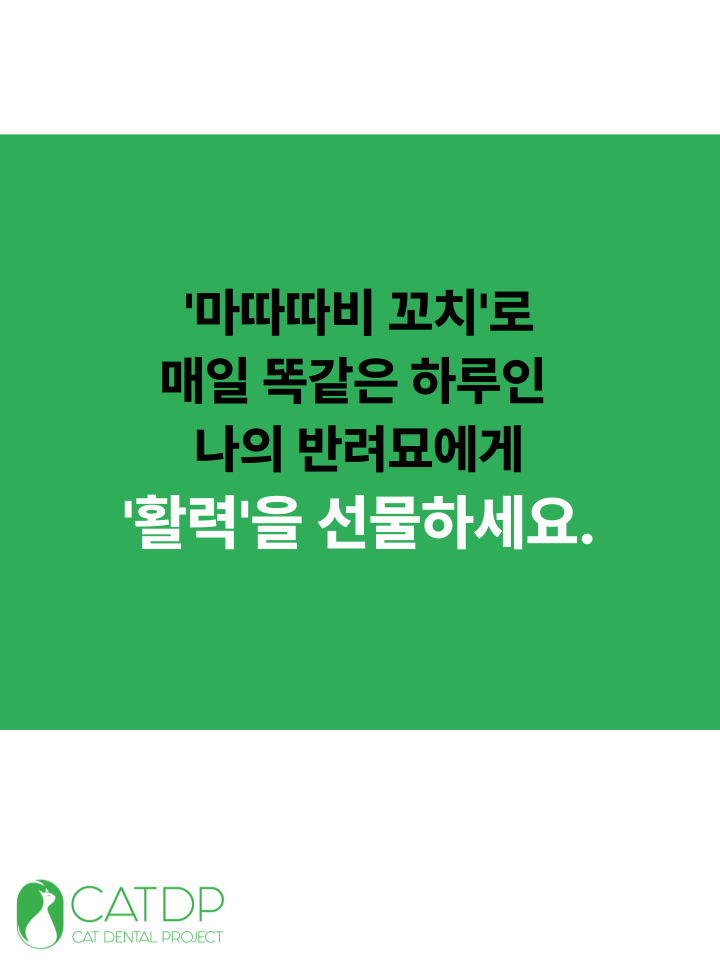 [NEW신상][무료배송] 캣디피 마따따비 꼬치 3번째