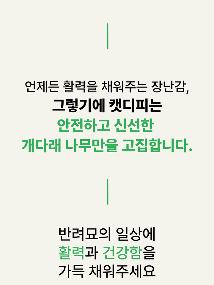 [NEW신상][무료배송] 캣디피 마따따비 꼬치 15번째