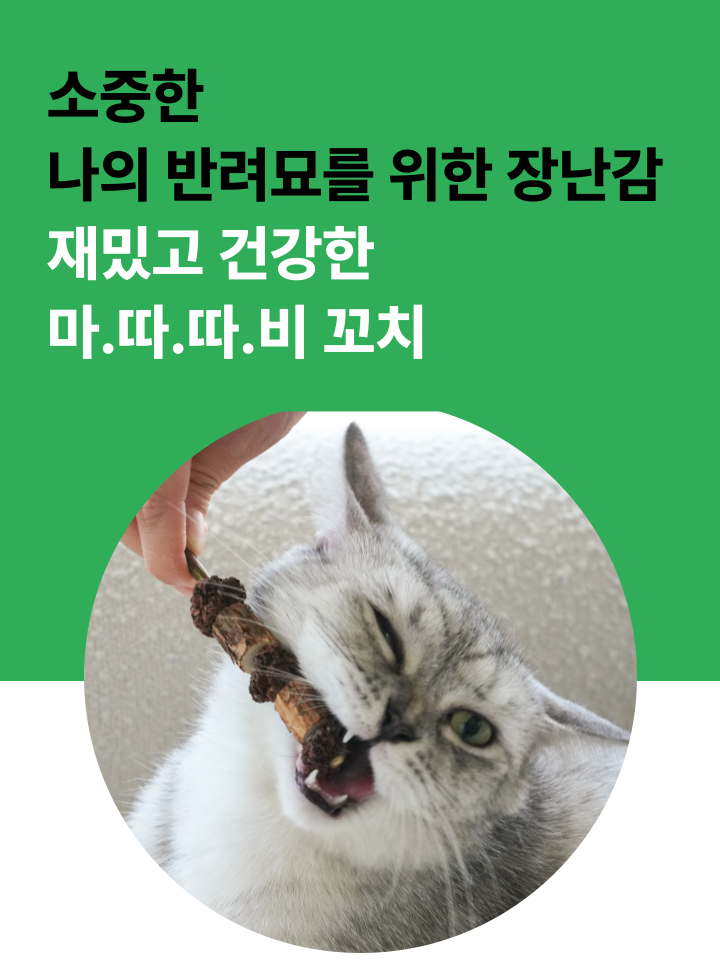 [NEW신상][무료배송] 캣디피 마따따비 꼬치 2번째