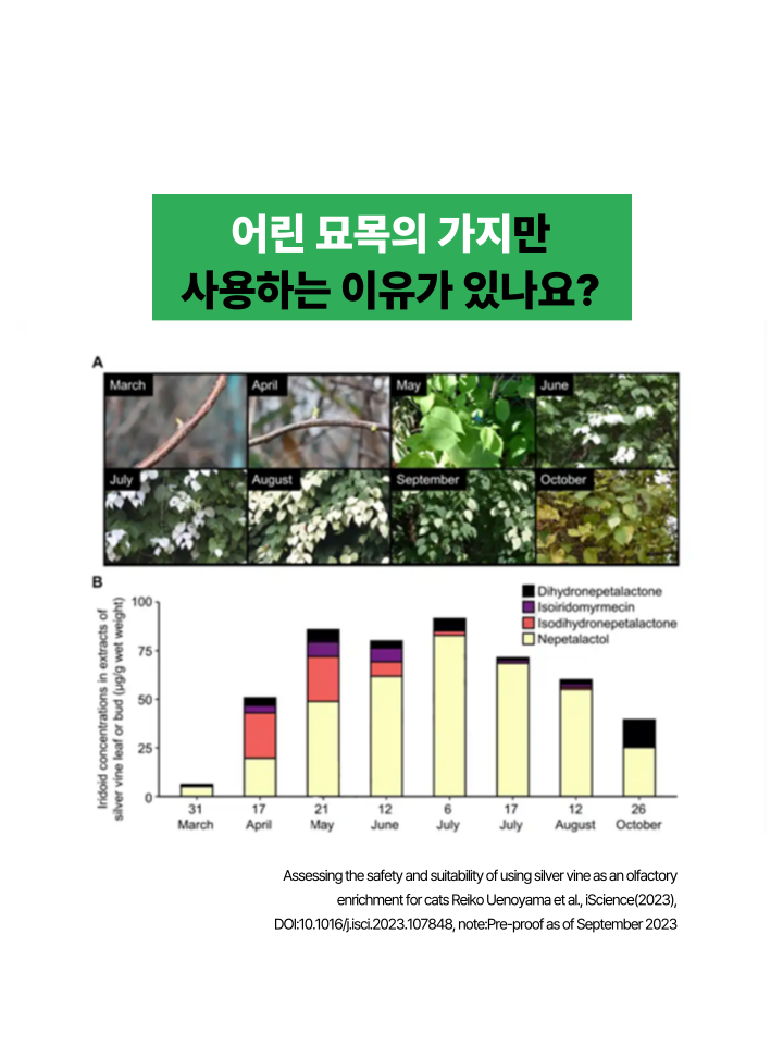 [NEW신상][무료배송] 캣디피 마따따비 꼬치 24번째