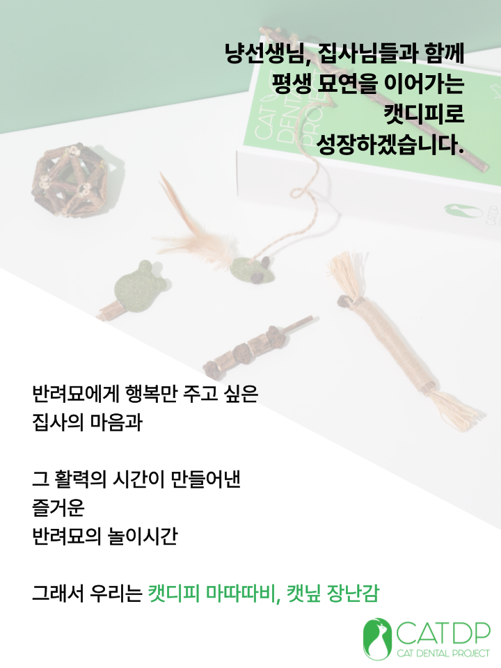 [NEW신상][무료배송] 캣디피 마따따비 꼬치 43번째