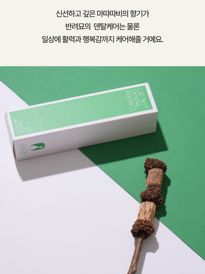 [NEW신상][무료배송] 캣디피 마따따비 꼬치 16번째
