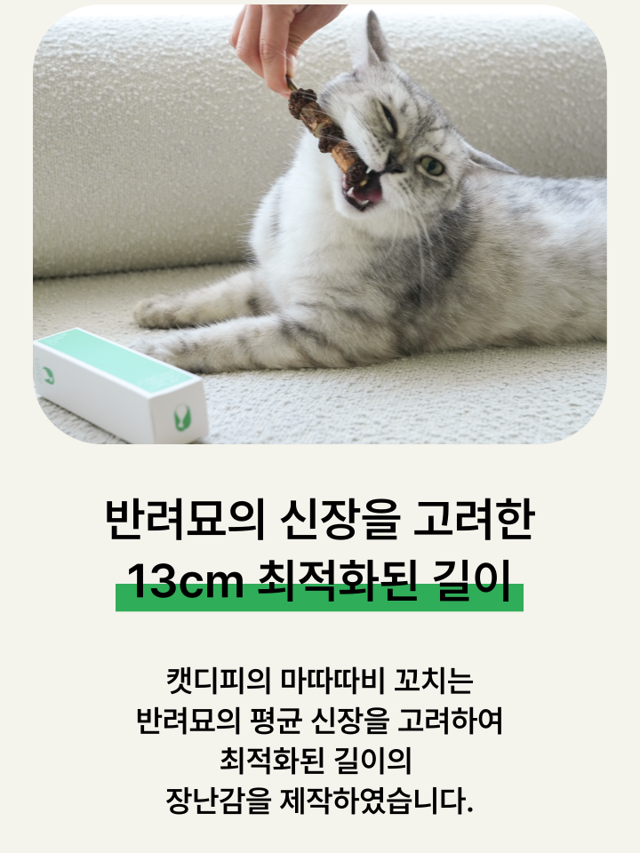 [NEW신상][무료배송] 캣디피 마따따비 꼬치 32번째