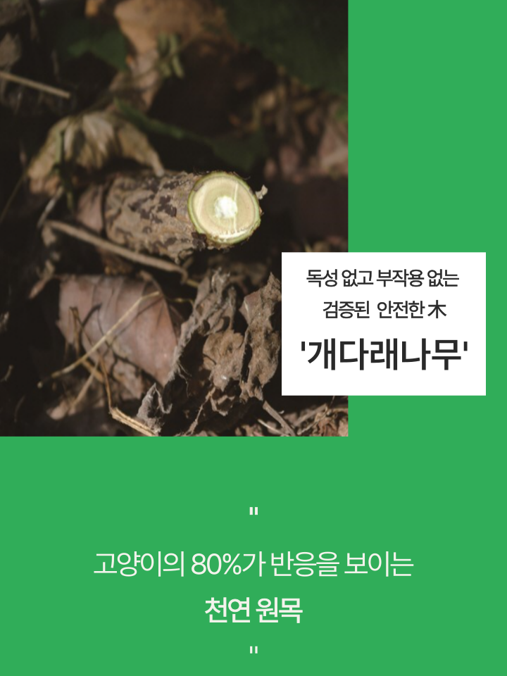 [NEW신상][무료배송] 캣디피 마따따비 꼬치 8번째