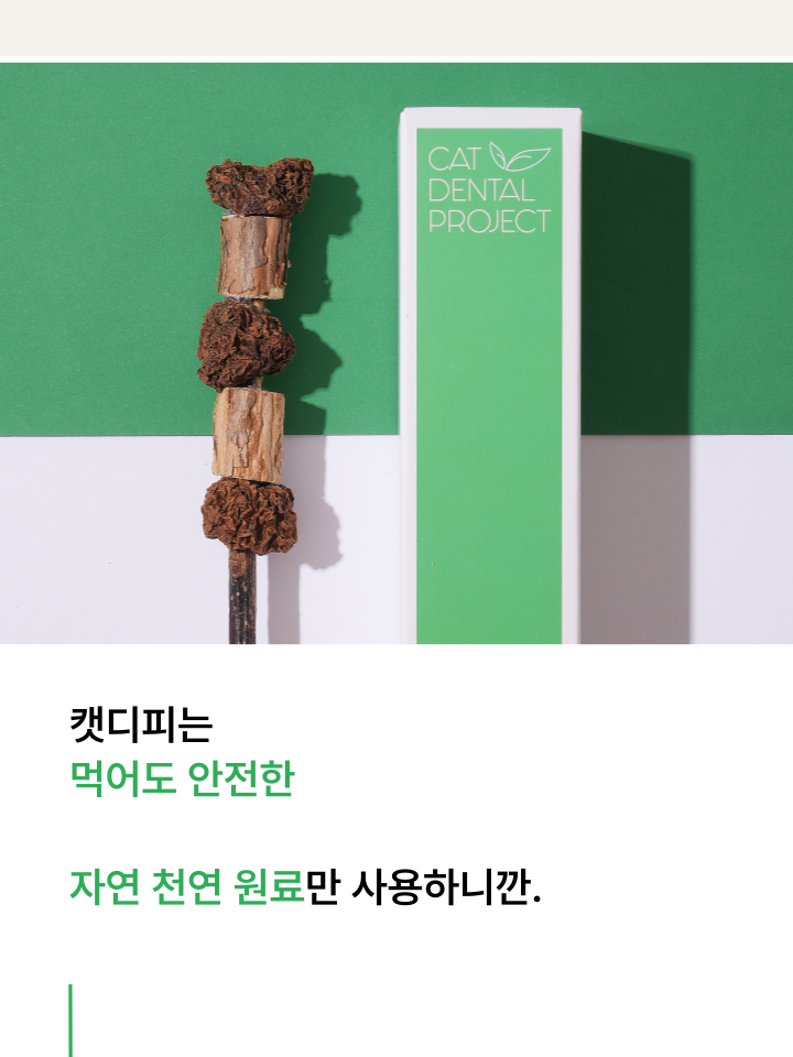 [NEW신상][무료배송] 캣디피 마따따비 꼬치 33번째