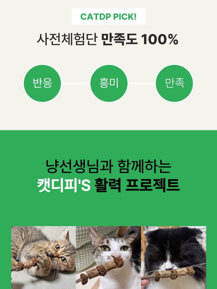 [NEW신상][무료배송] 캣디피 마따따비 꼬치 13번째