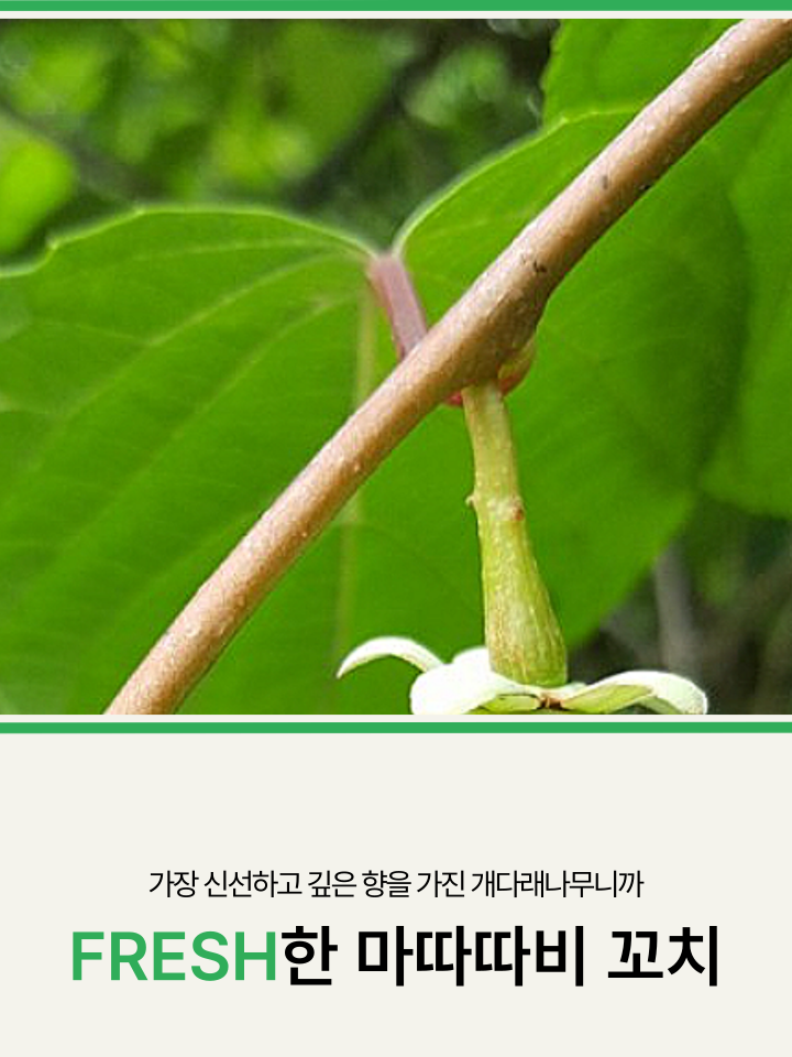 [NEW신상][무료배송] 캣디피 마따따비 꼬치 19번째