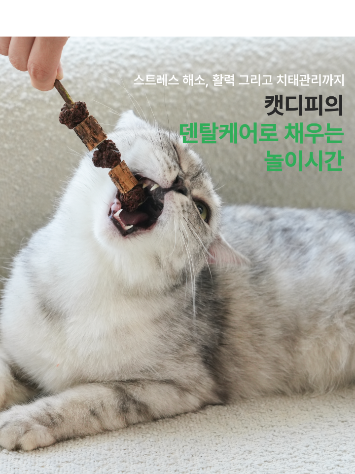 [NEW신상][무료배송] 캣디피 마따따비 꼬치 12번째