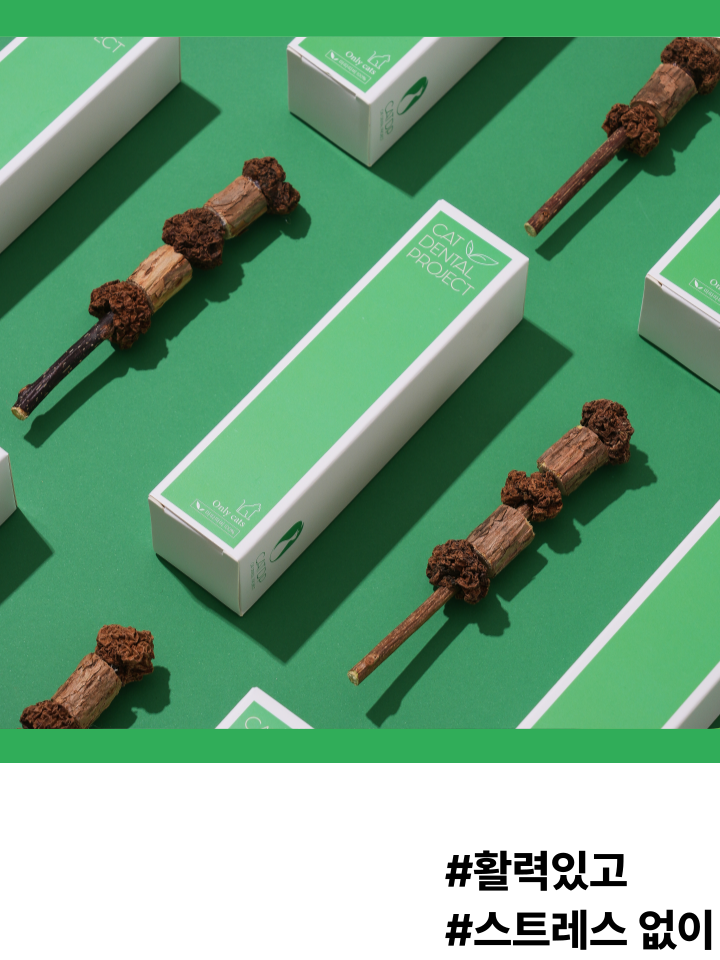 [NEW신상][무료배송] 캣디피 마따따비 꼬치 4번째