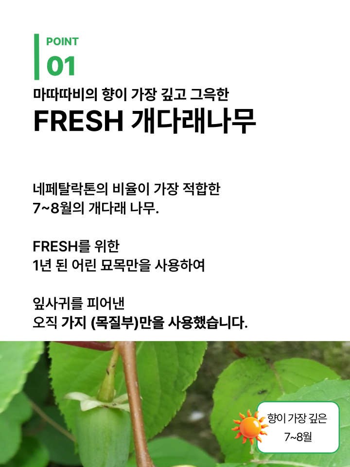 [NEW신상][무료배송] 캣디피 마따따비 꼬치 22번째