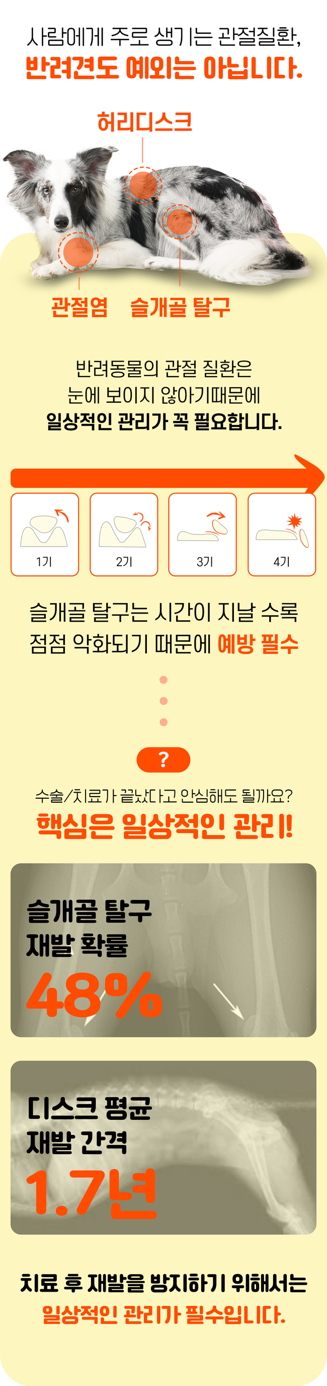[럭키세일][무료배송] 시리어스펫 독 슬개골 따땃패드 7번째