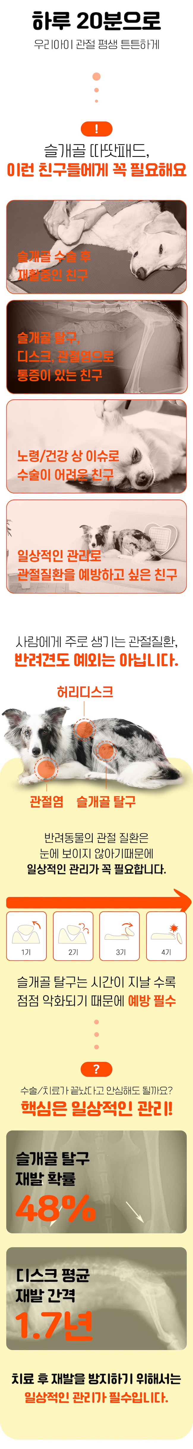 [무료배송] 시리어스펫 독 슬개골 따땃패드 3번째