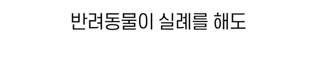 [럭키세일][무료배송] 시리어스펫 독 슬개골 따땃패드 21번째