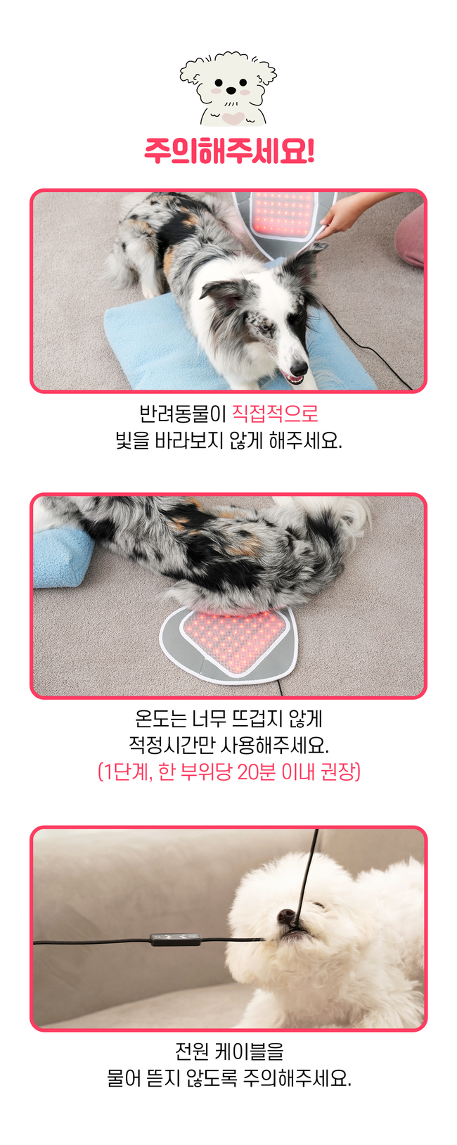 [럭키세일][무료배송] 시리어스펫 독 슬개골 따땃패드 27번째