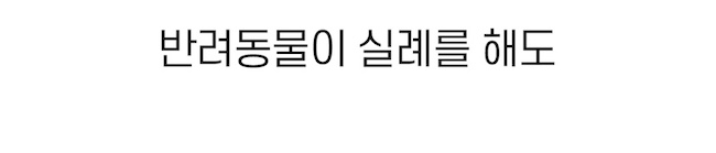 [무료배송] 시리어스펫 독 슬개골 따땃패드 11번째