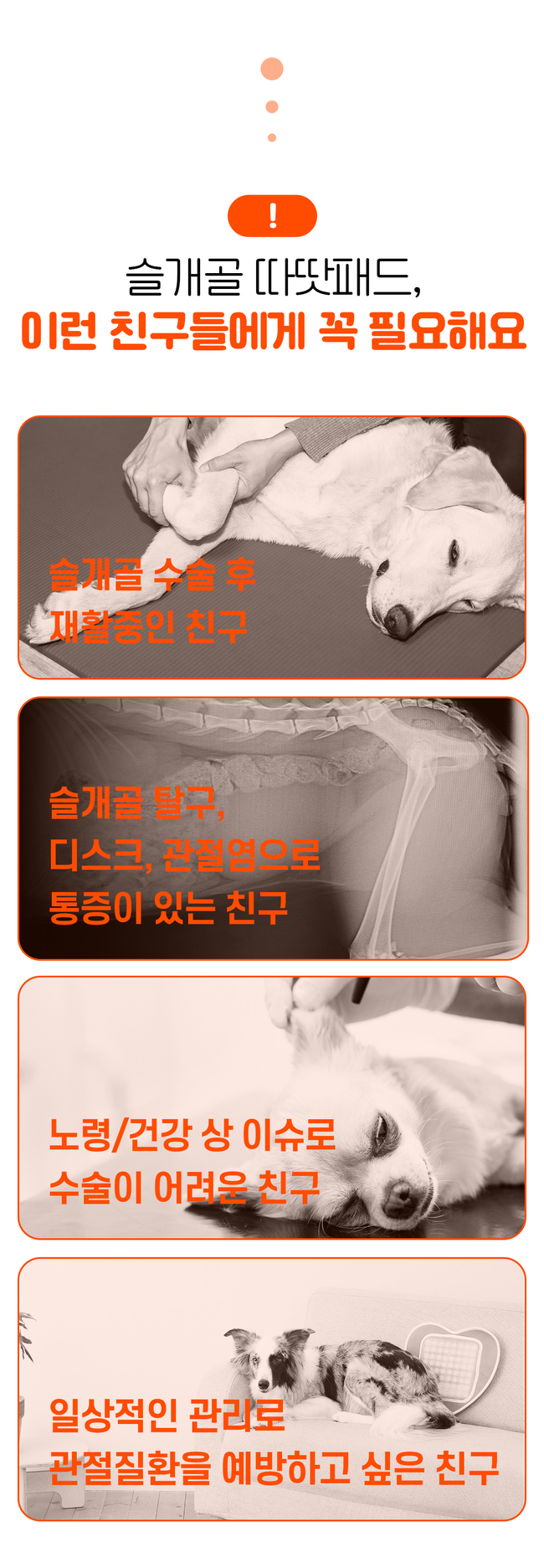 [럭키세일][무료배송] 시리어스펫 독 슬개골 따땃패드 6번째