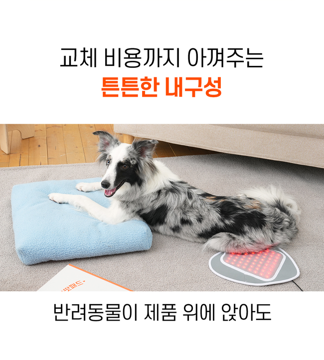 [럭키세일][무료배송] 시리어스펫 독 슬개골 따땃패드 20번째