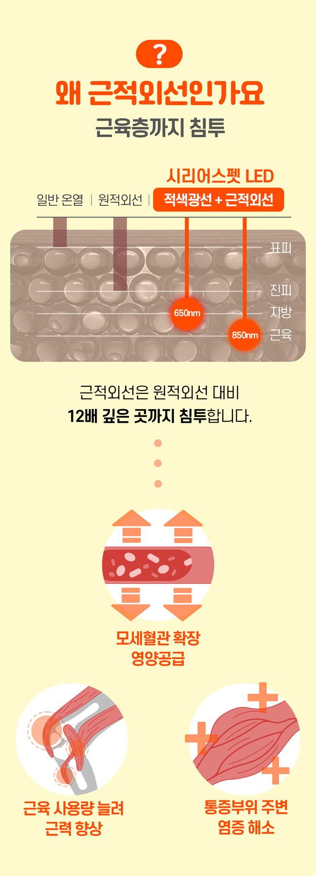 [럭키세일][무료배송] 시리어스펫 독 슬개골 따땃패드 4번째
