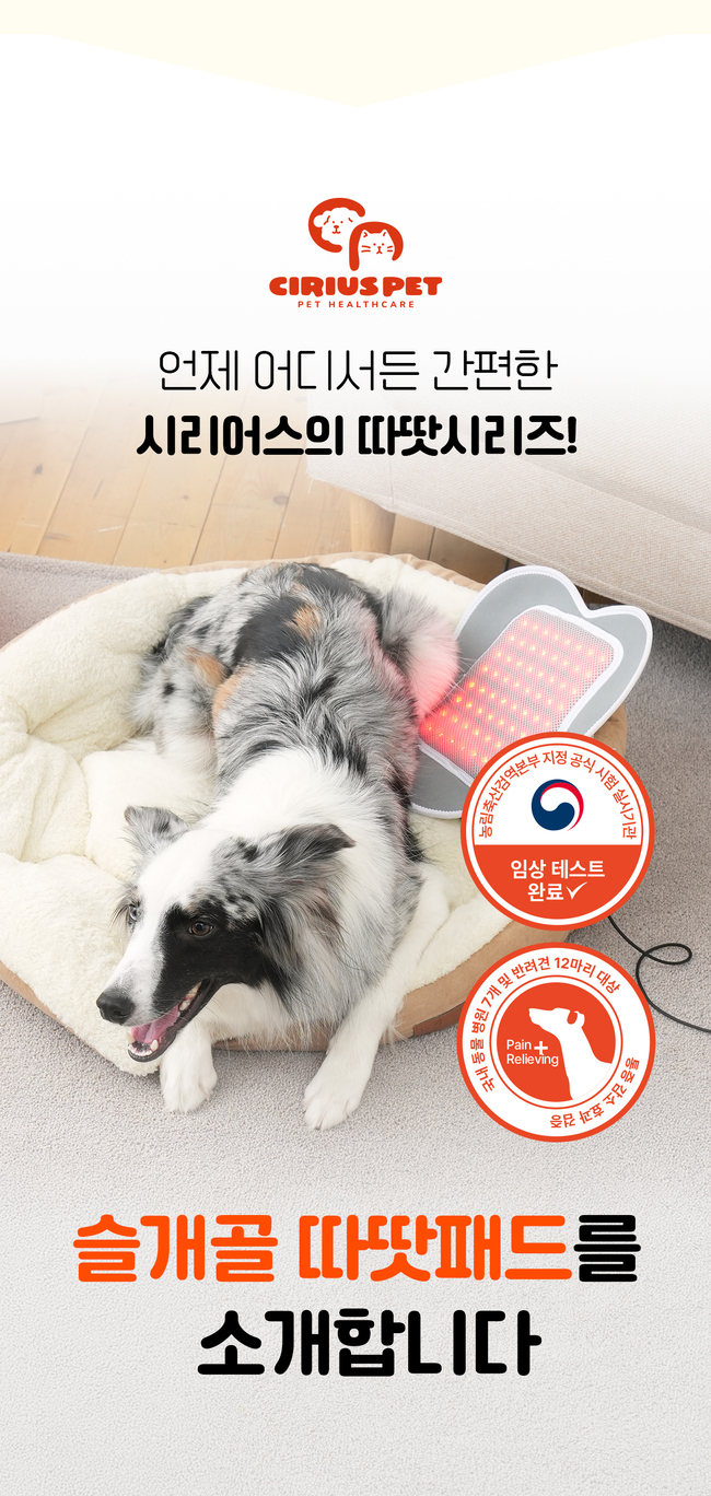 [럭키세일][무료배송] 시리어스펫 독 슬개골 따땃패드 2번째