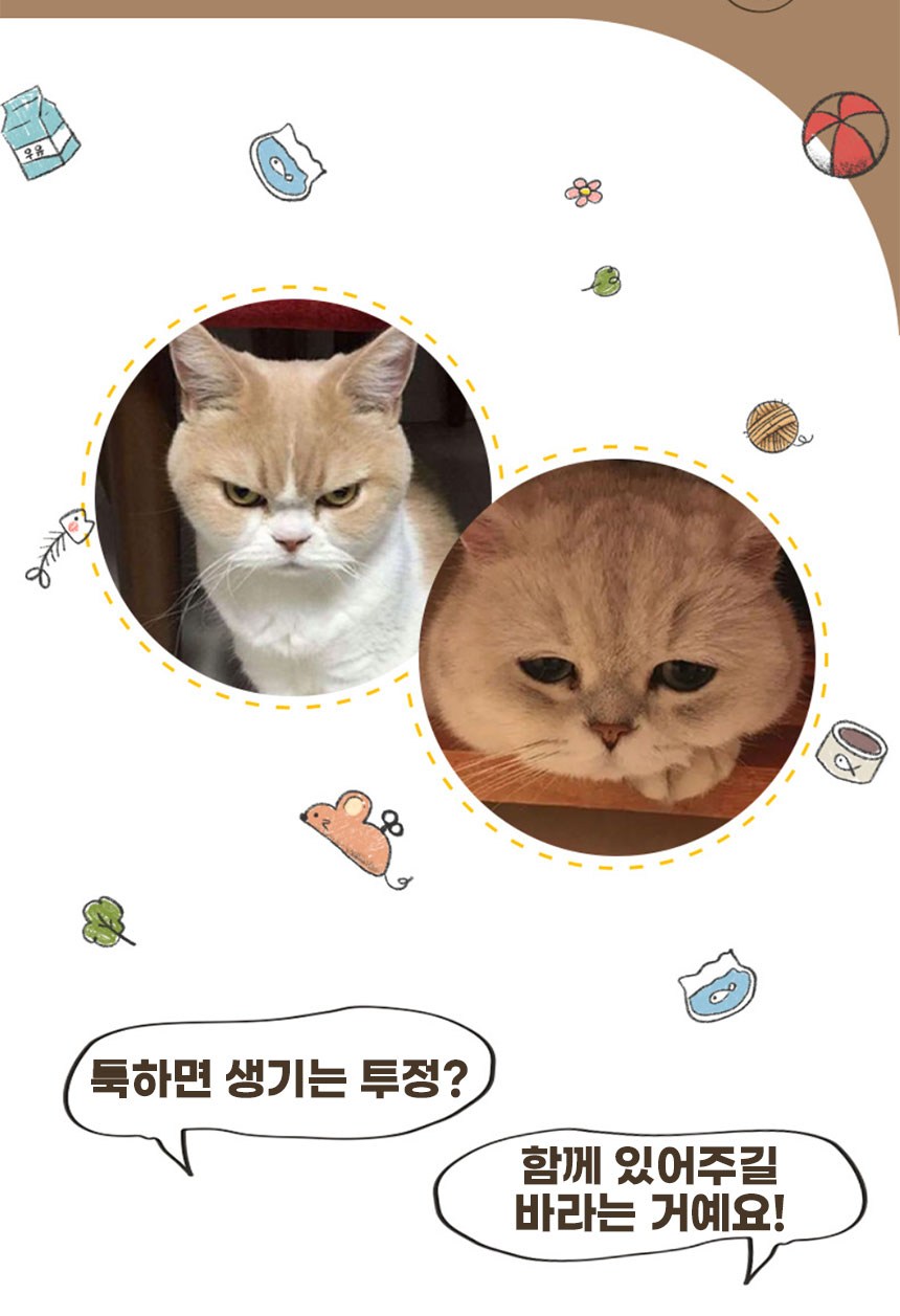 [NEW신상][무료배송] 메일캣 고양이 데스크겸용 스크래쳐형 침대 (베이지/옐로우) 3번째