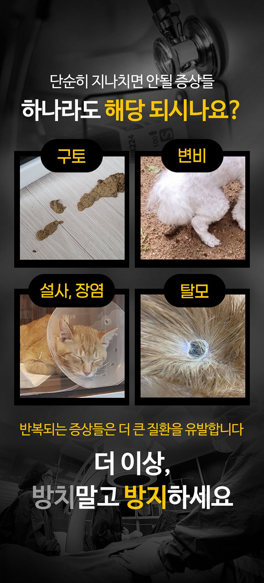 리브펫 유산균 3.0 스틱포 60g (2g*30p) 1번째