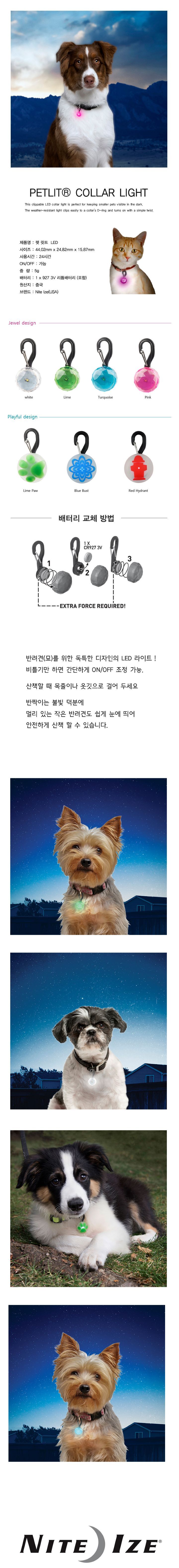 [무료배송] 나잇 아이즈 펫 릿트 LED 6종 1번째