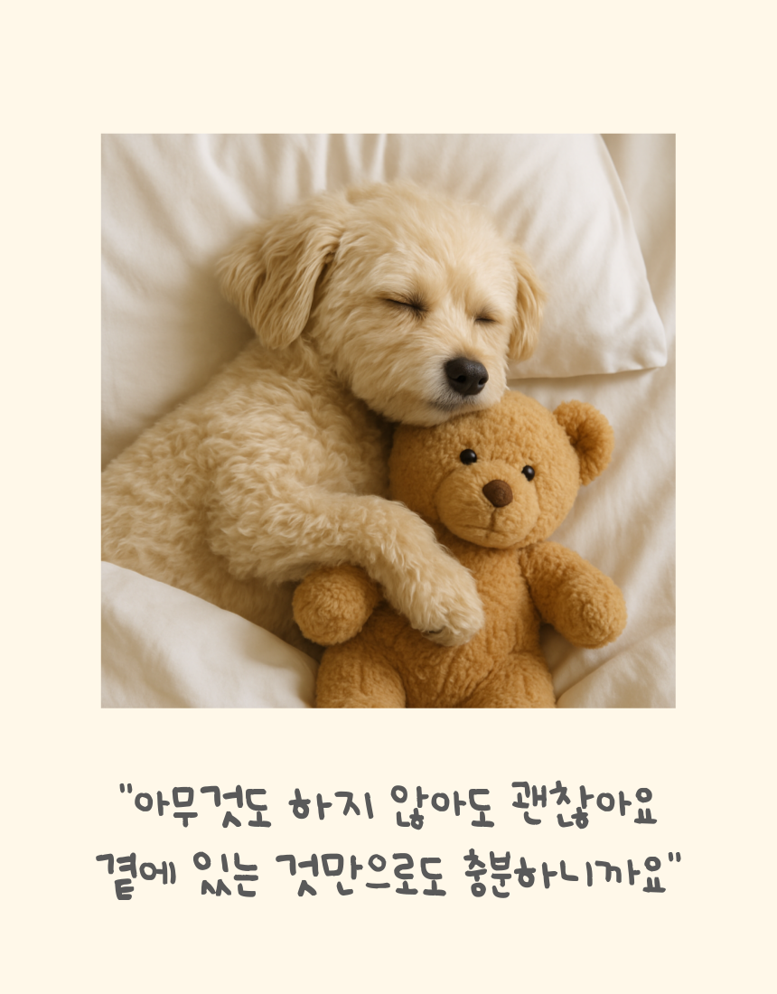 [NEW신상][무료배송] 마요부티크 쁘띠다이노 양모 애착인형 3번째