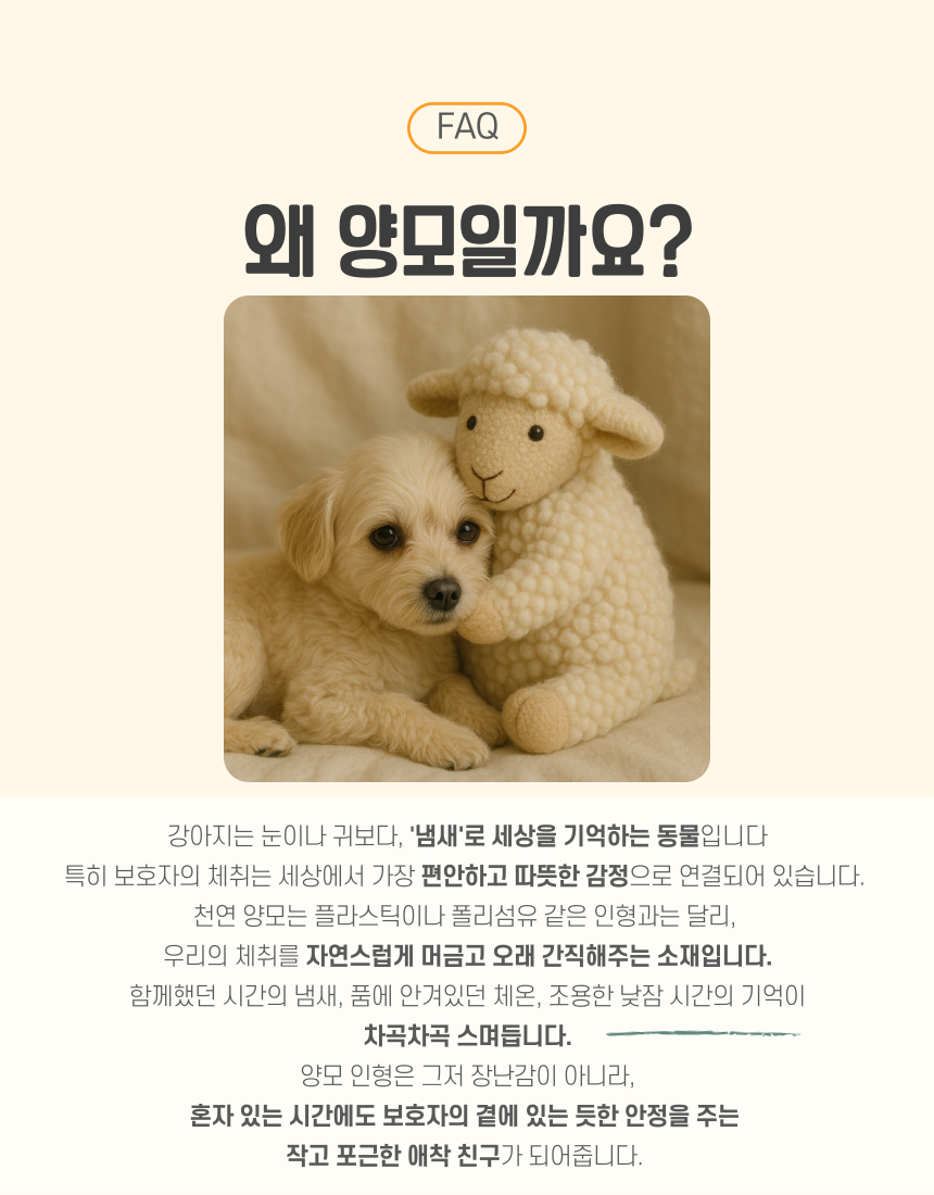 [NEW신상][무료배송] 마요부티크 쁘띠다이노 양모 애착인형 2번째