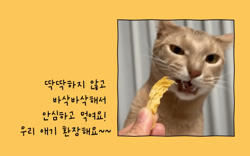 [무료배송] 뽀뽀제과 다이어트 육포 3종 세트 4번째