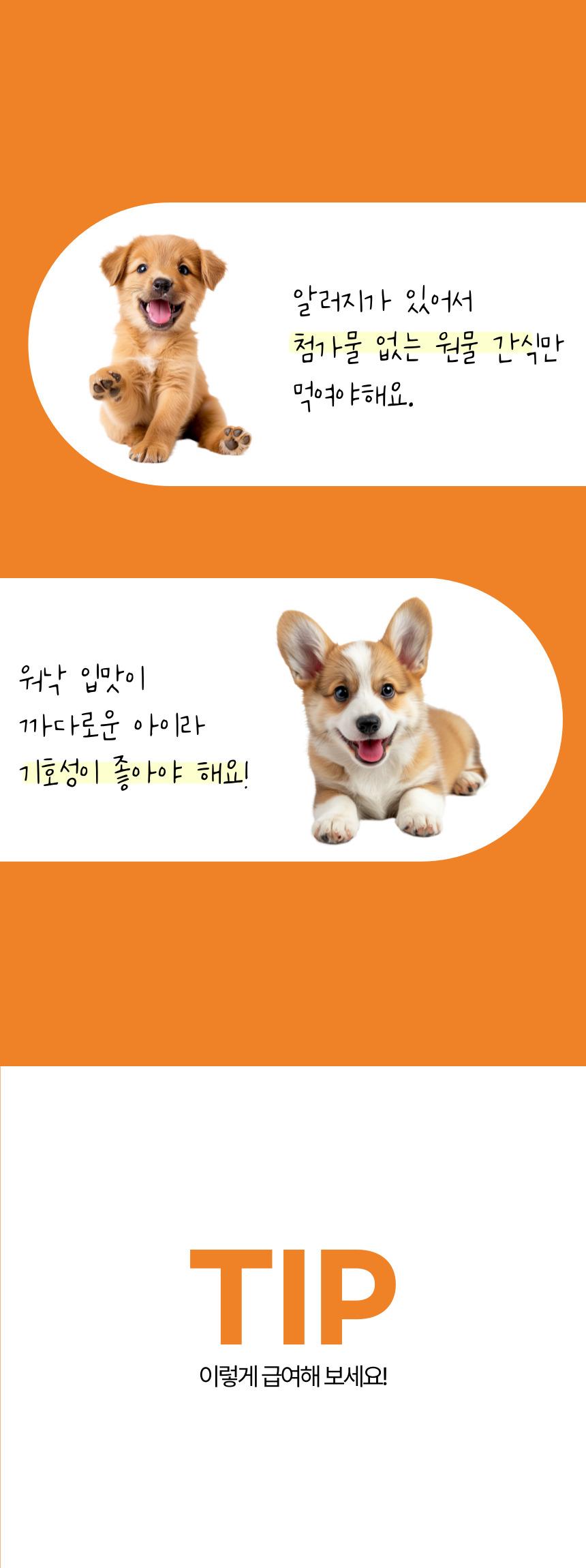 [무료배송] 뽀뽀제과 다이어트 육포 3종 세트 16번째